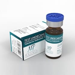 Testosteron Enantat kaufen